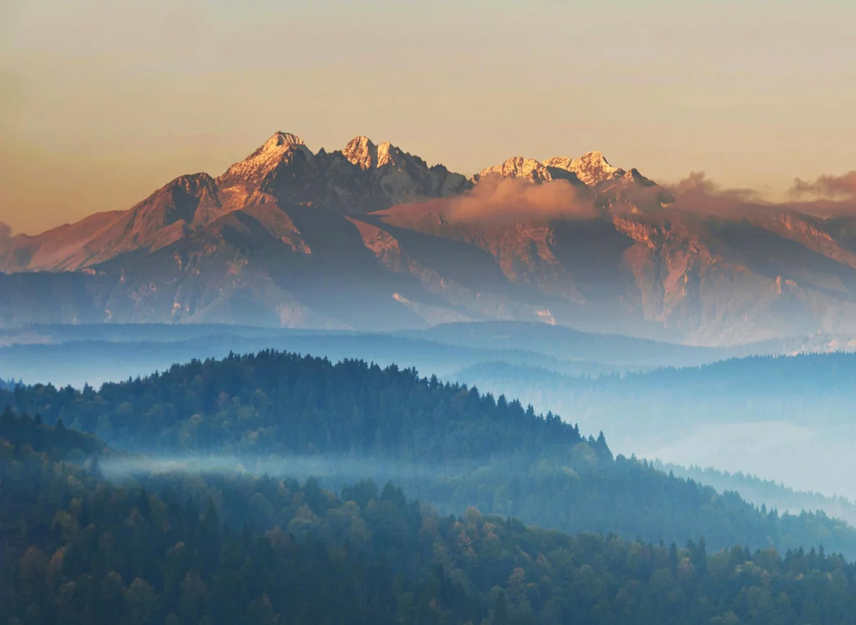 Co jeść będąc wege?
