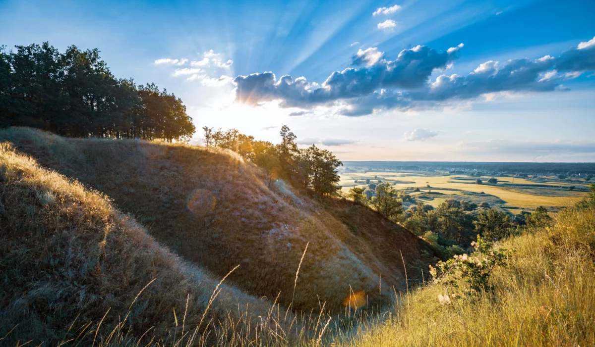 Śmiali Się Gdy Powiedziałem, że Chcę kupić para cord. Ale Gdy Zobaczyli Jak ...