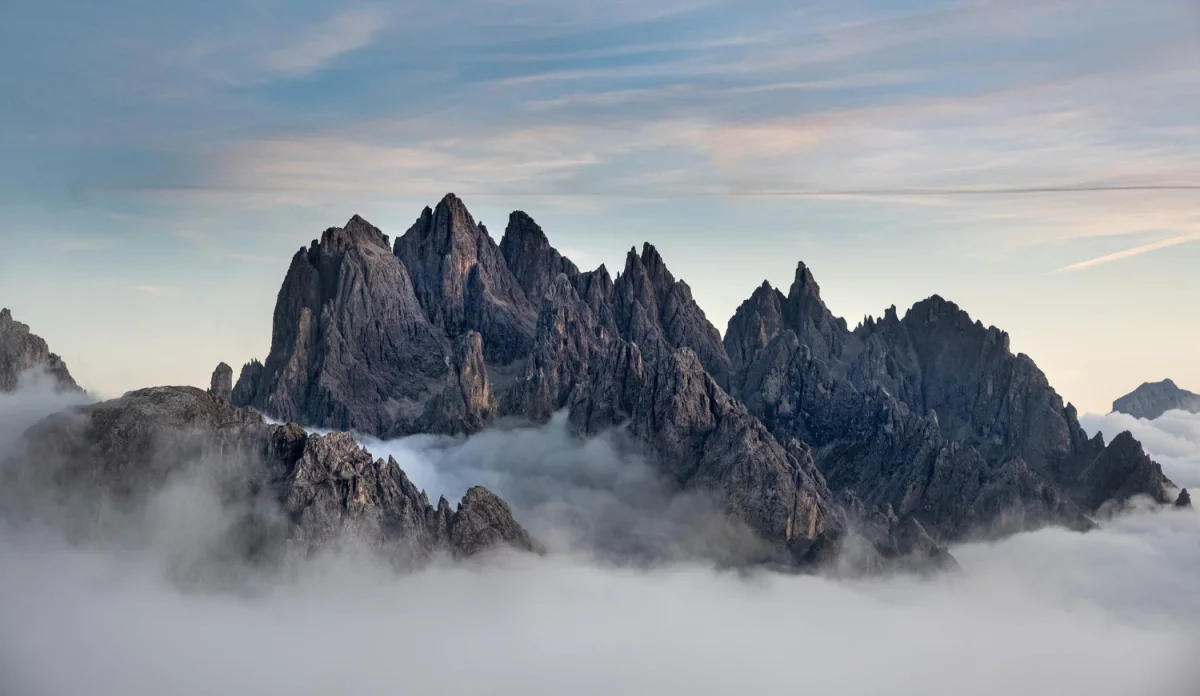 Sposób na to aby  przewozić maszyny budowlane na sto procent!