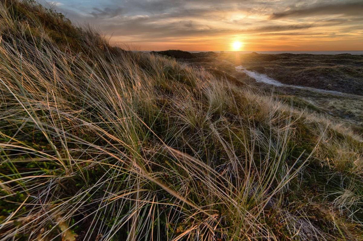 RO e-Transport: jak wdrożyć usługi, automatyzować rozliczenia i zwiększyć efektywność floty — poradnik dla małych i średnich przewoźników