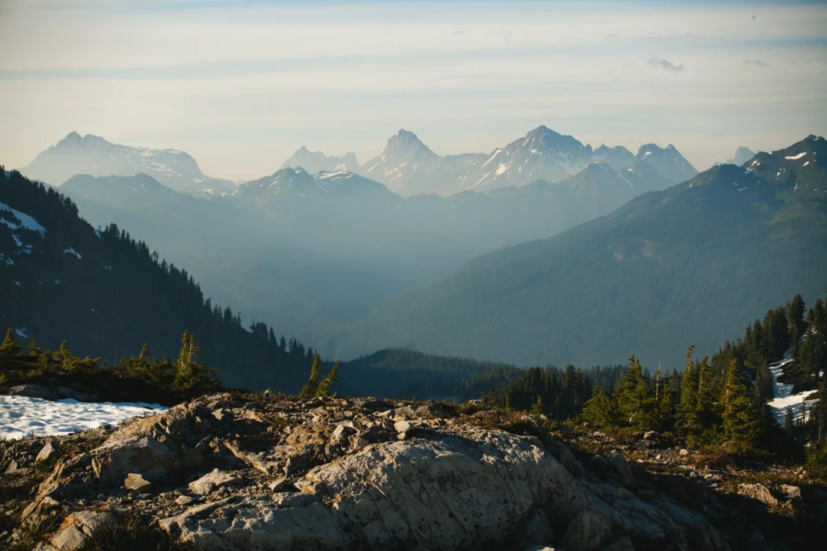 Wegetarianizm jako dieta