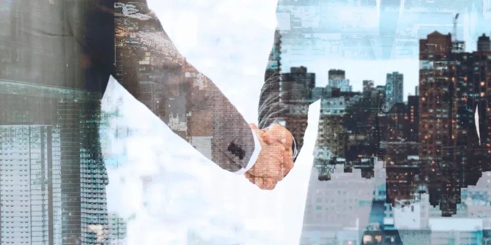 Employer branding oparty na zrównoważonym rozwoju — przyciąganie talentów wartościami